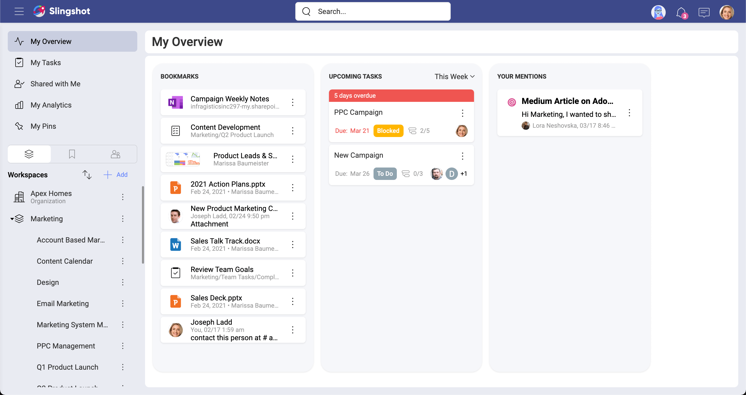 Showing a Workspace Overview within Slingshot