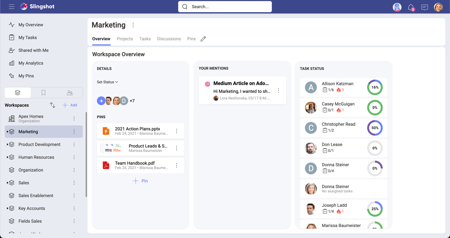 Showing a Workspace Overview within Slingshot