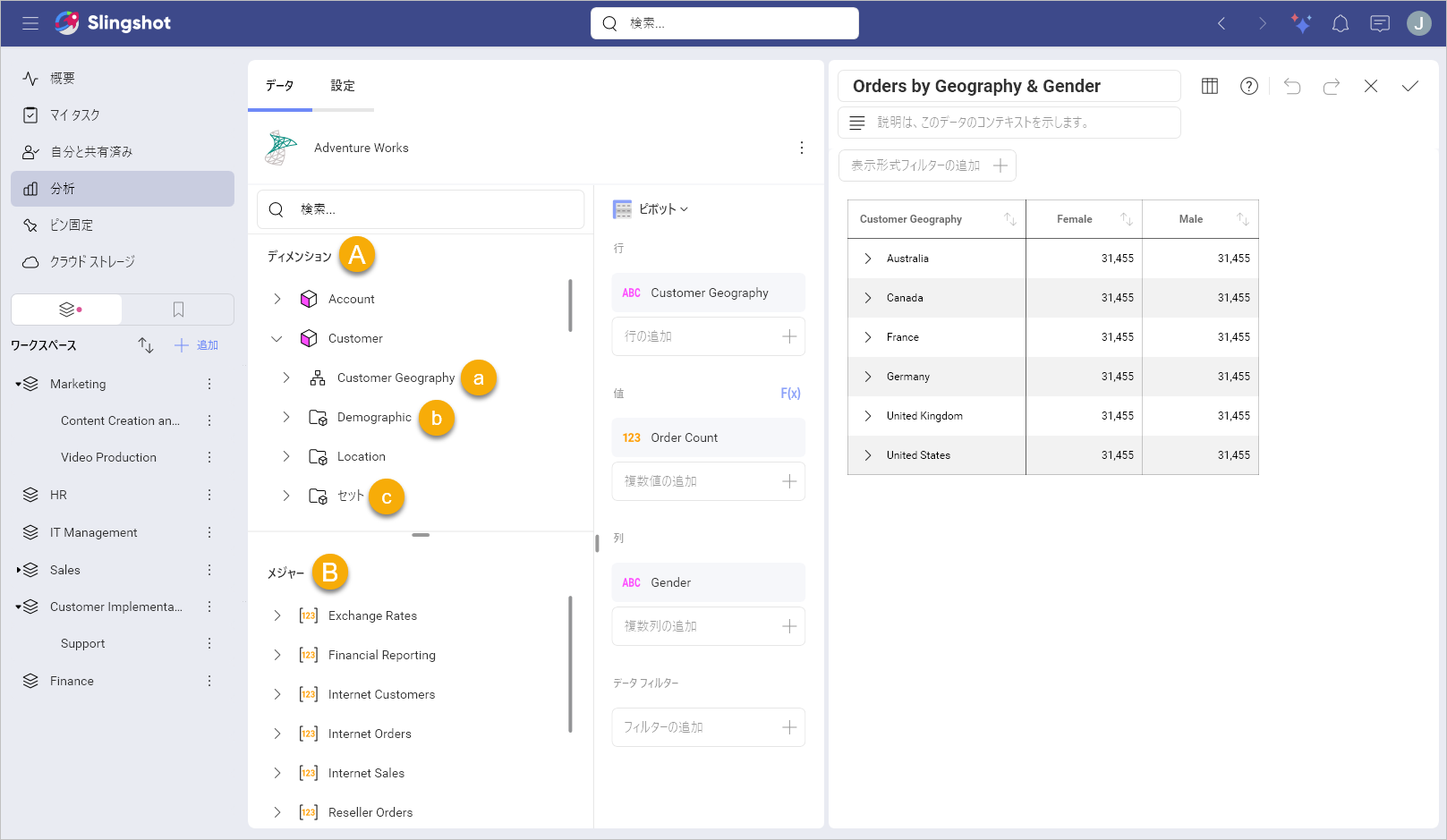 Microsoft Analysis Service data source information in the Visualization Editor