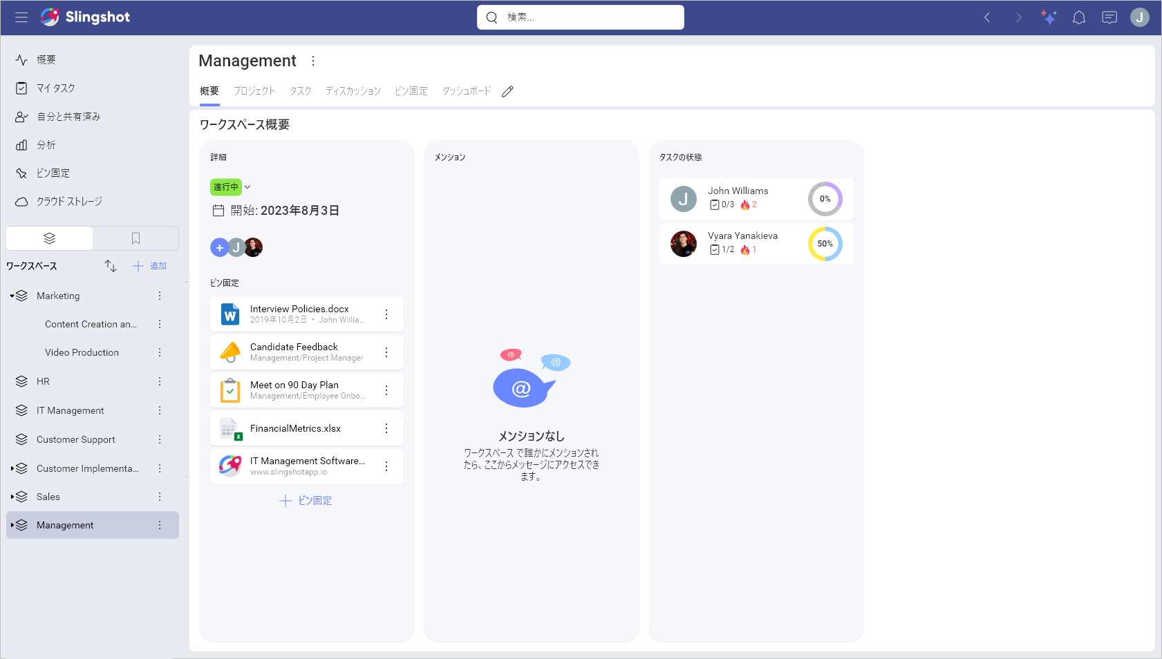 Example of a Workspace Overview within Slingshot