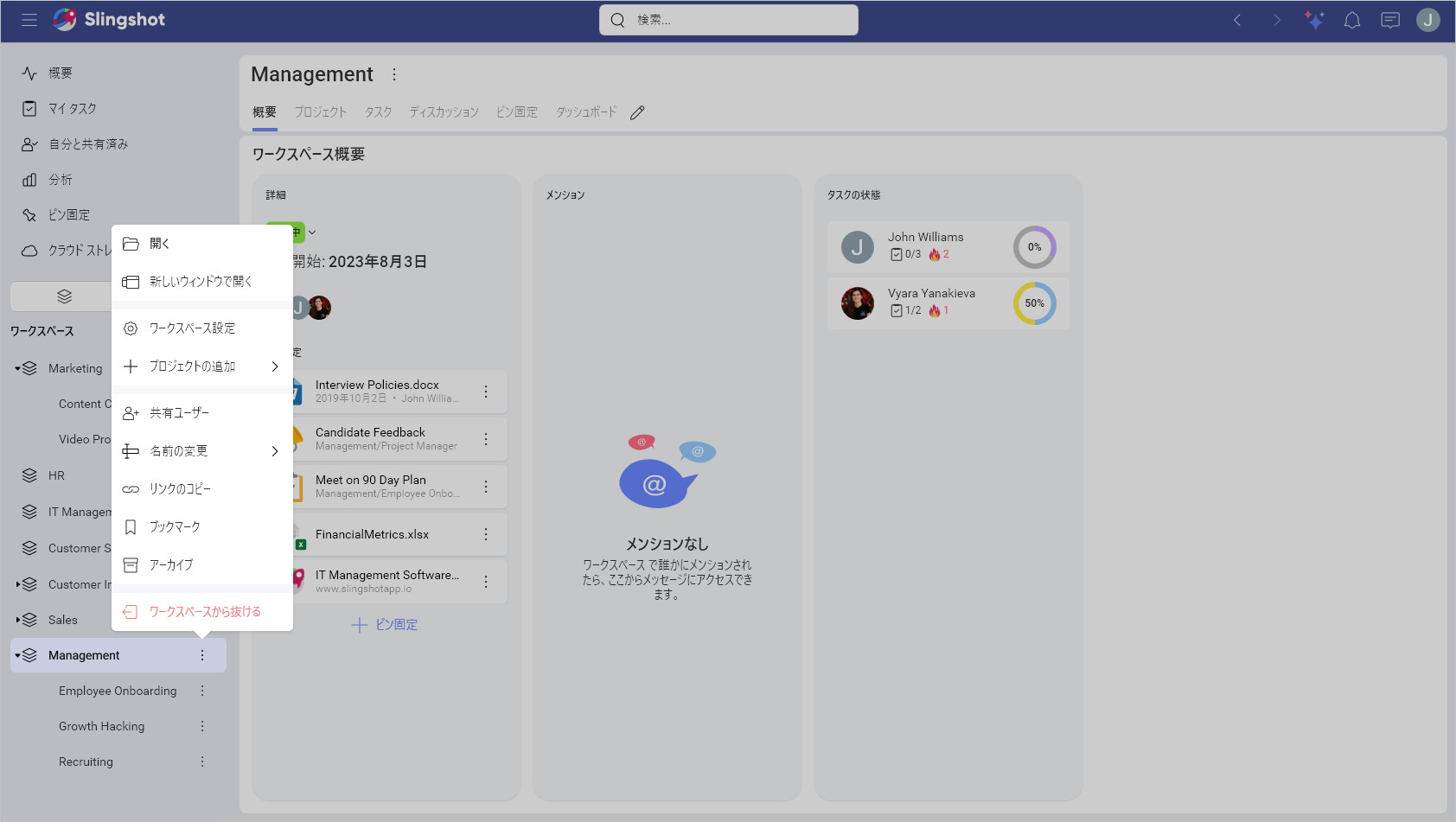 Workspace settings within Slingshot