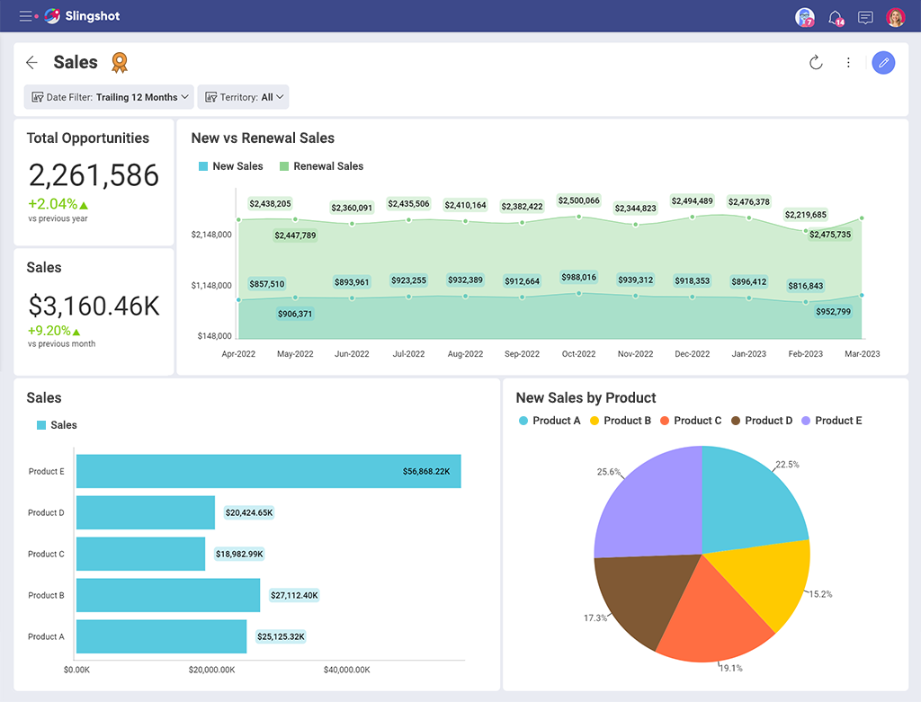 saas dashboard example for sales teams